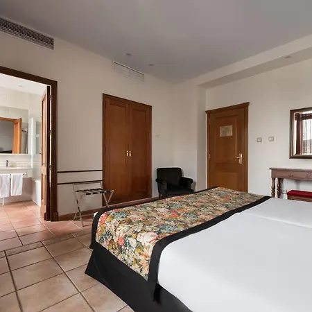 Exe Alfonso Viii Hotell 4*