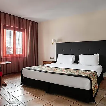 Hotel Dorma Alfonso Viii 4*