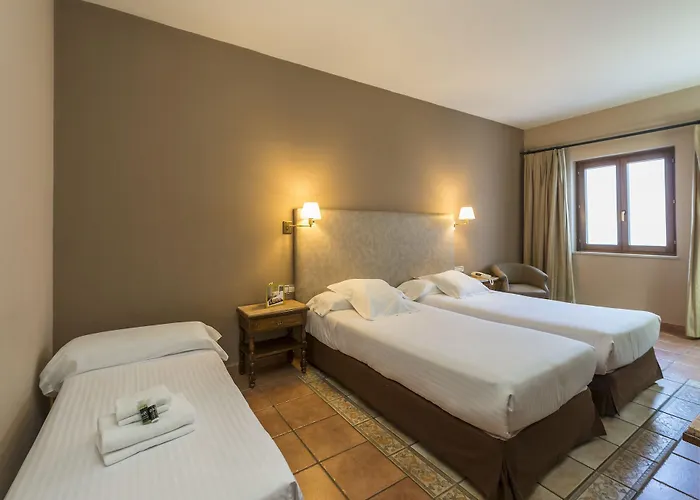 Hotel Dorma Alfonso Viii