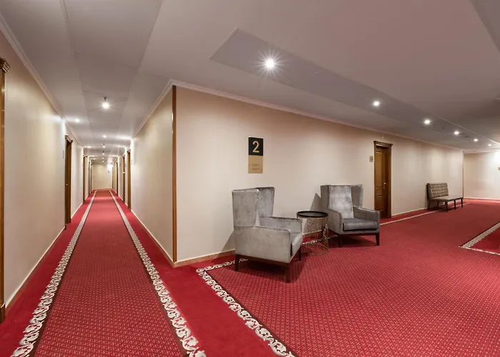 Hotel Exe Alfonso Viii 4*