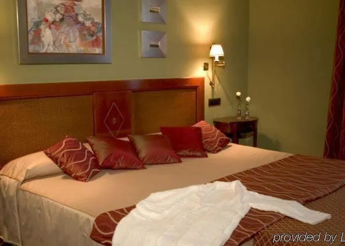 Hotel Dorma Alfonso Viii 4*